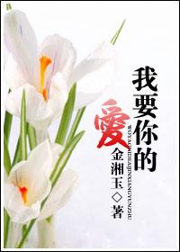 传奇机甲老公