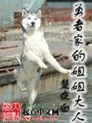 仕途风流