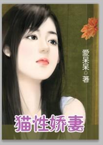 风流公子十二娇