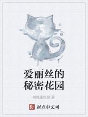 海贼之天赋系统