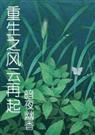 花之芬芳人生(重生之风云再起的续集