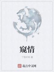 窥情
