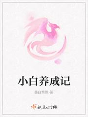 系统网王攻略