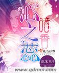 爱情公寓之子乔风流记