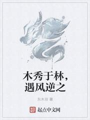 上流爱情