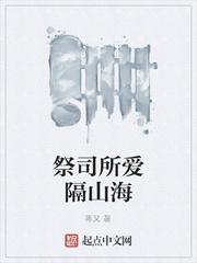盗版法宝商