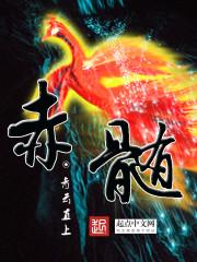凤髓